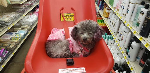 Department Store «Bi-Mart», reviews and photos, 444 Pacific Ave S, Monmouth, OR 97361, USA