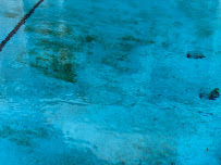 American Pool Virginia - Photo 4 - Car repair in Alexandria, VA, Washington