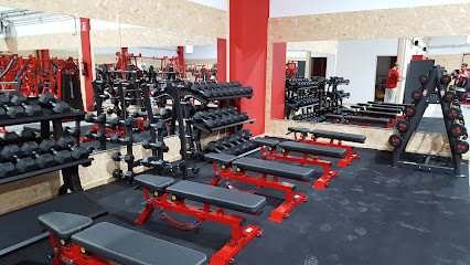 New Old School Gym - Oreitiasolo Kalea, 8B, 01006 Gasteiz, Araba, Spain