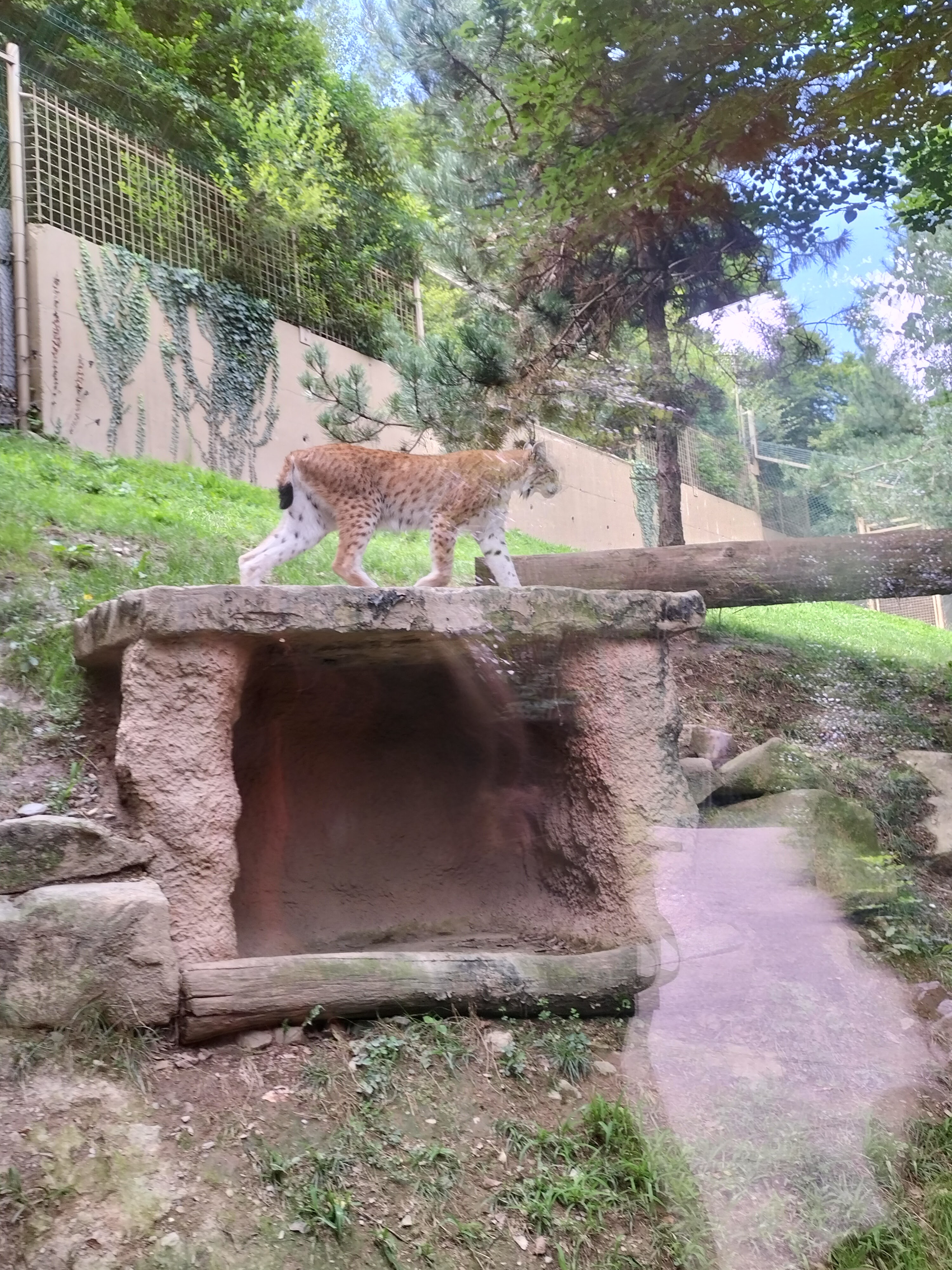 Photo n° 8 de l'avis de Alaska. fait le 26/08/2023 à 16:58