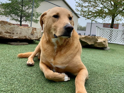 Pet Store «Happy, Clean and Smart», reviews and photos, 5700 W Kilgore Ave, Muncie, IN 47304, USA