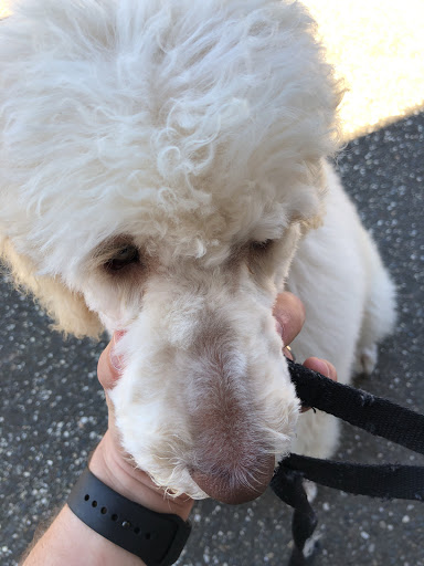 Pet Supply Store «Petco Animal Supplies», reviews and photos, 6672 Lonetree Blvd, Rocklin, CA 95765, USA