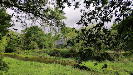 Illa do Ariño – Carril