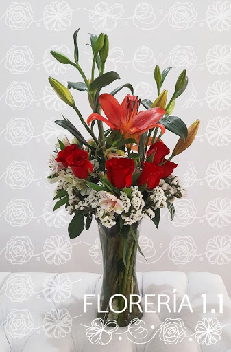 Florería 1.1 – Aguascalientes