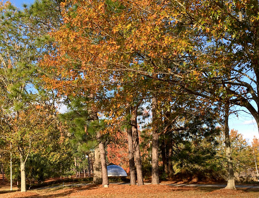 Art Museum «Mobile Museum of Art», reviews and photos, 4850 Museum Dr, Mobile, AL 36608, USA