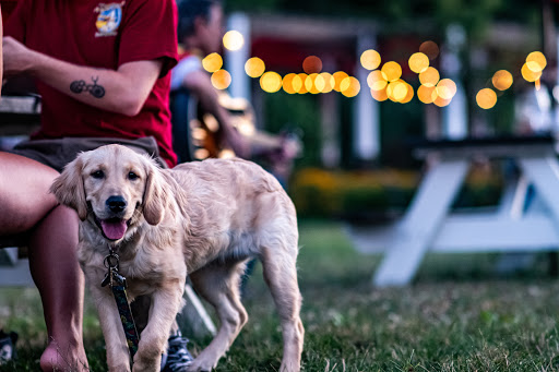 Vineyard «Catoctin Breeze Vineyard & Winery», reviews and photos, 15010 Roddy Rd, Thurmont, MD 21788, USA