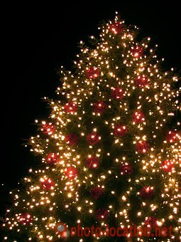 Seasonal Holiday Lights Installation Professionals