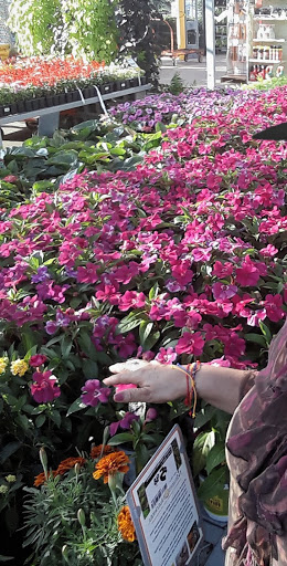 Home Improvement Store «The Home Depot», reviews and photos, 1750 Old Fort Pkwy, Murfreesboro, TN 37129, USA