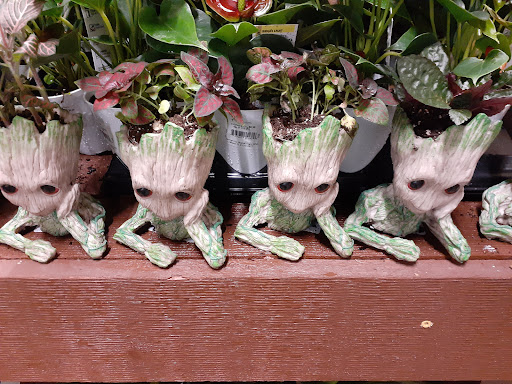 Home Improvement Store «The Home Depot», reviews and photos, 4200 Derry St, Swatara, PA 17111, USA