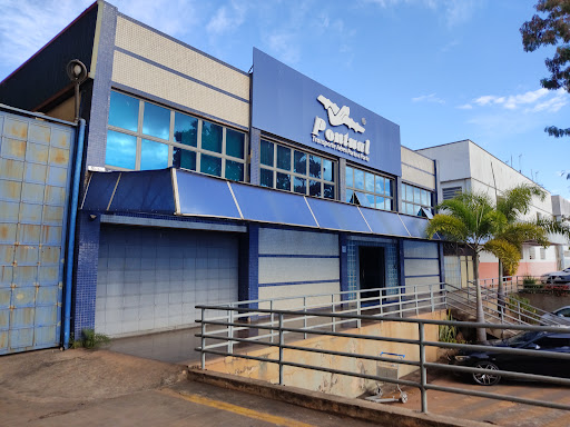 Logo da empresa - Pontual Cargo