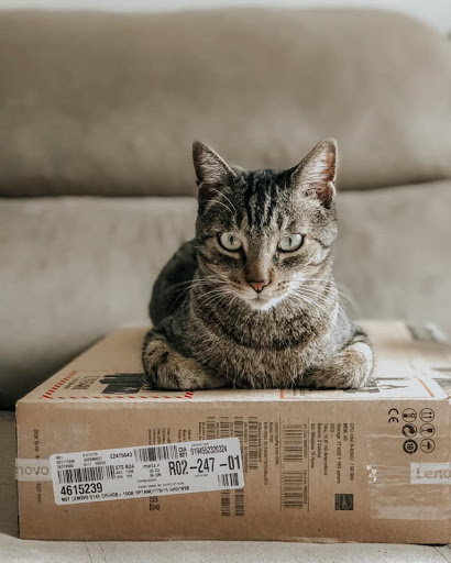Clínica Veterinária Sociedade Animal em Taubaté - SP