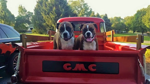 Real Estate Agents «Re/Max: Cassandra Bailey», reviews and photos, 8415 Progress Drive, Frederick, MD 21701, USA