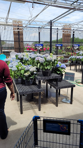 Department Store «Walmart Supercenter», reviews and photos, 3390 N Hwy 67, Florissant, MO 63033, USA