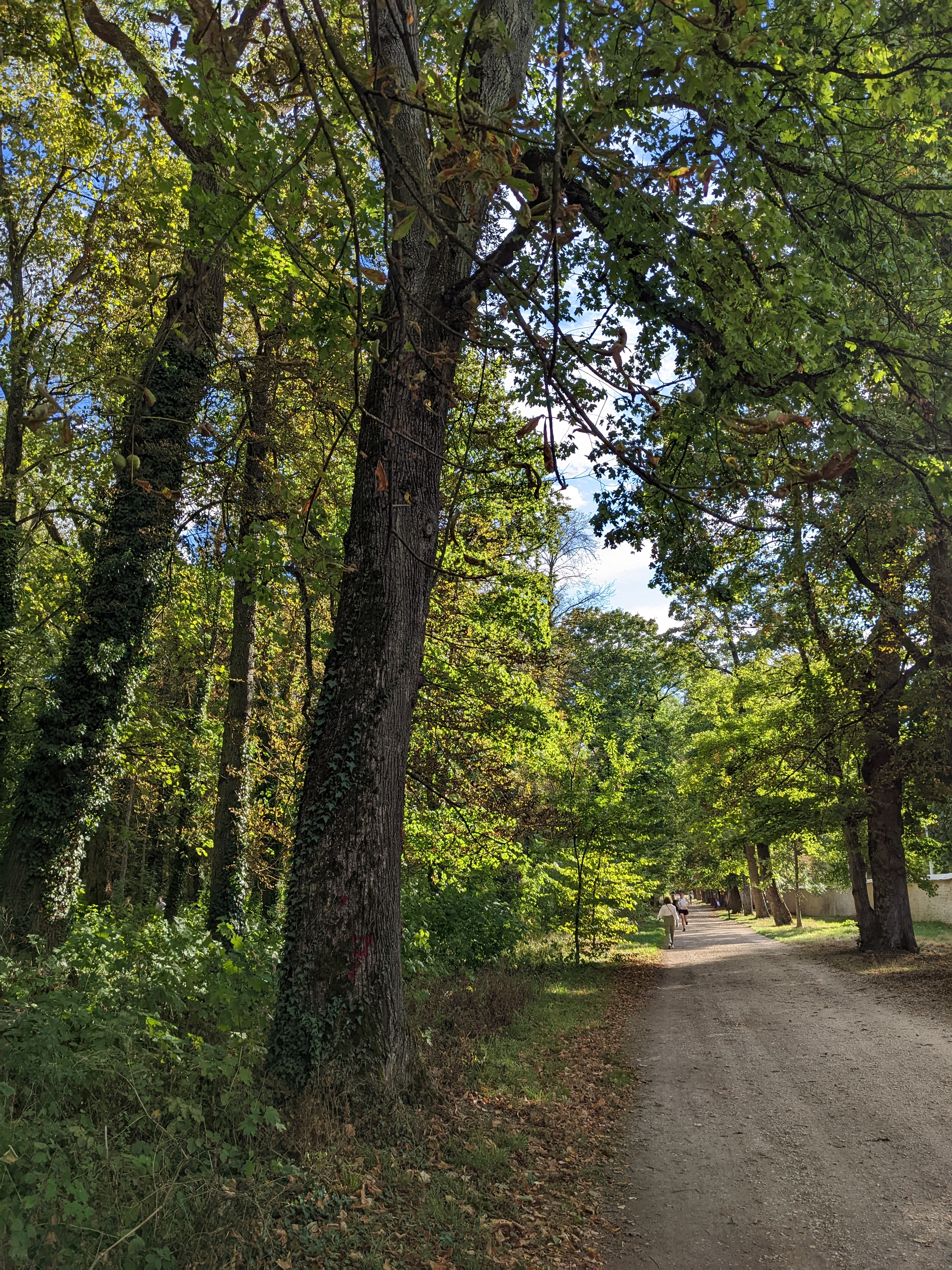 Photo n° 1 de l'avis de queralt.n fait le 08/09/2022 à 16:40