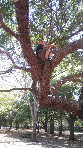 City Park «Palatlakaha Recreation Park», reviews and photos