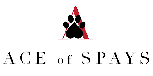 Ace of Spays image