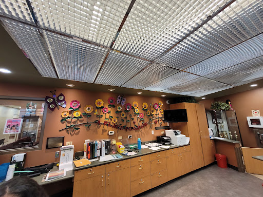 Recreation Center «Mirabelli Community Center», reviews and photos, 6200 Hargrove Ave, Las Vegas, NV 89107, USA