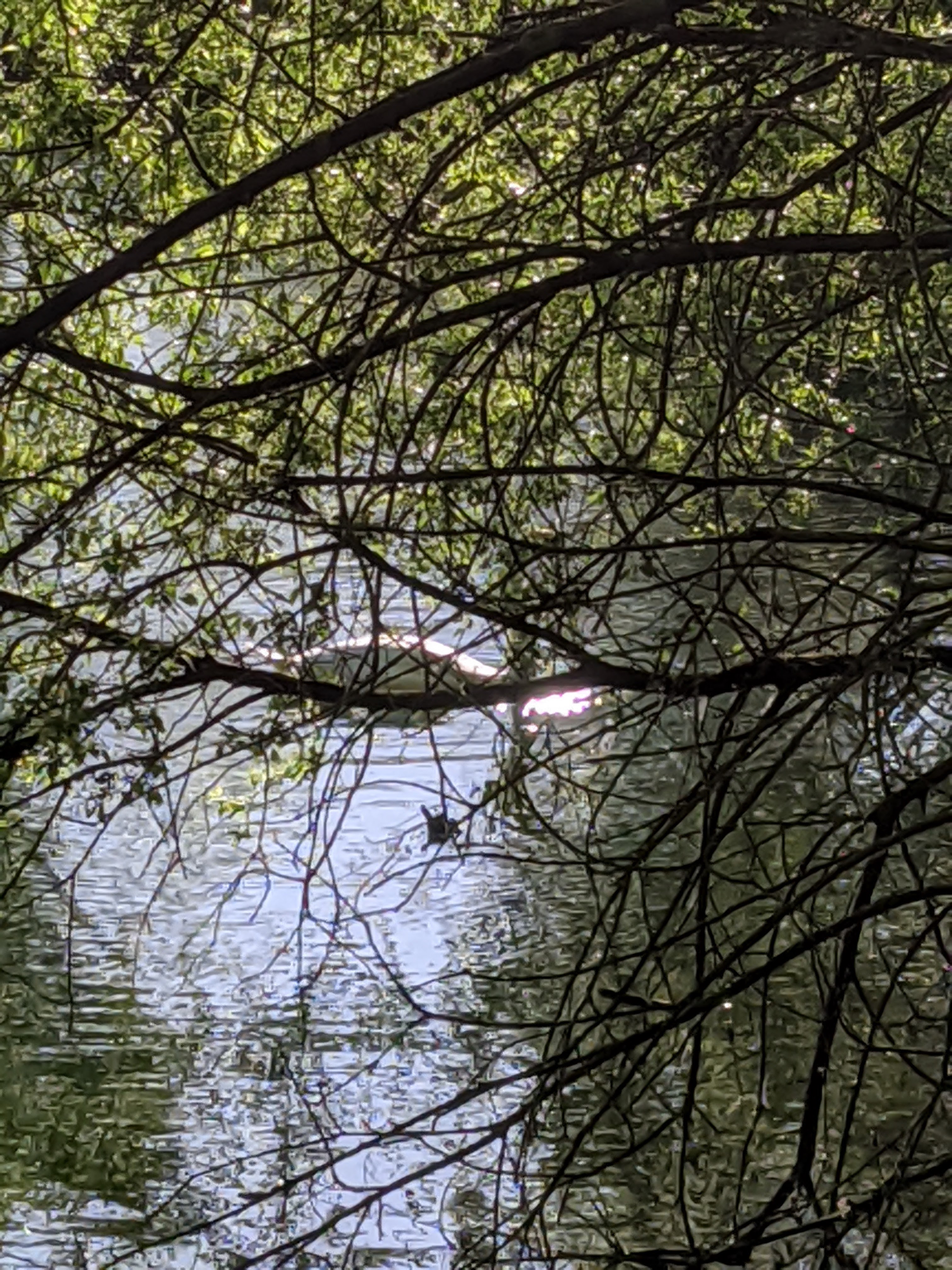 Photo n° 1 de l'avis de Adrien.m fait le 15/07/2020 à 15:46