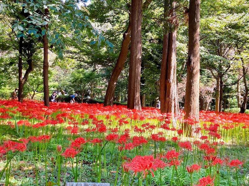 村上緑地公園駐車場