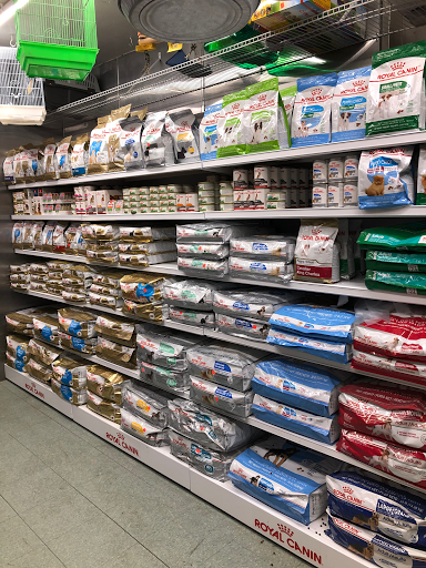 Pet Store «El Granero Pet Shop», reviews and photos, 15700 Atlantic Ave, Compton, CA 90221, USA