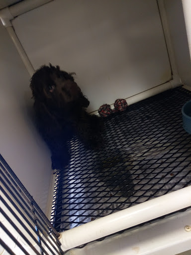 Pet Supply Store «Pet Shop», reviews and photos, 1833 S 10th St, Independence, KS 67301, USA