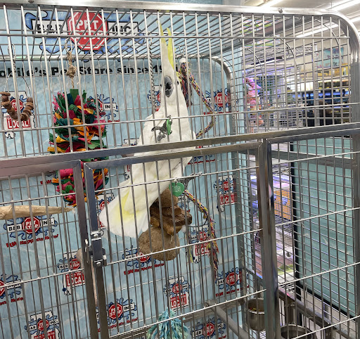 Pet Store «B & B Pet Stop, Inc.», reviews and photos, 5035 Cottage Hill Rd, Mobile, AL 36609, USA