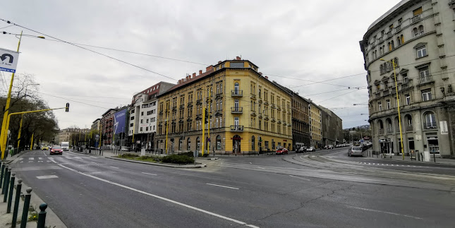 Chimpex - Budapest