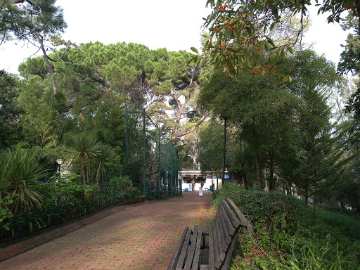 Parque Silva Porto