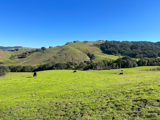 Fernandez Ranch
