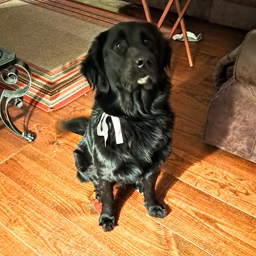 Bryan County Animal Control