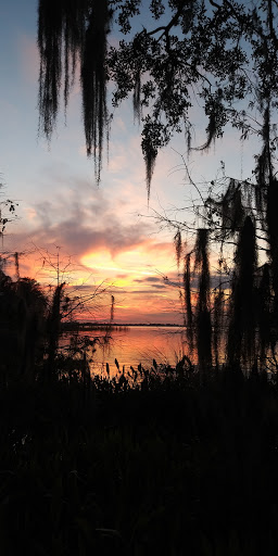 Nature Preserve «Palm Island Park», reviews and photos, 411 S Tremain St, Mt Dora, FL 32757, USA