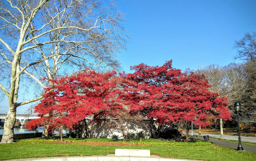 Park «Fairmount Park», reviews and photos, Reservoir Dr, Philadelphia, PA 19119, USA