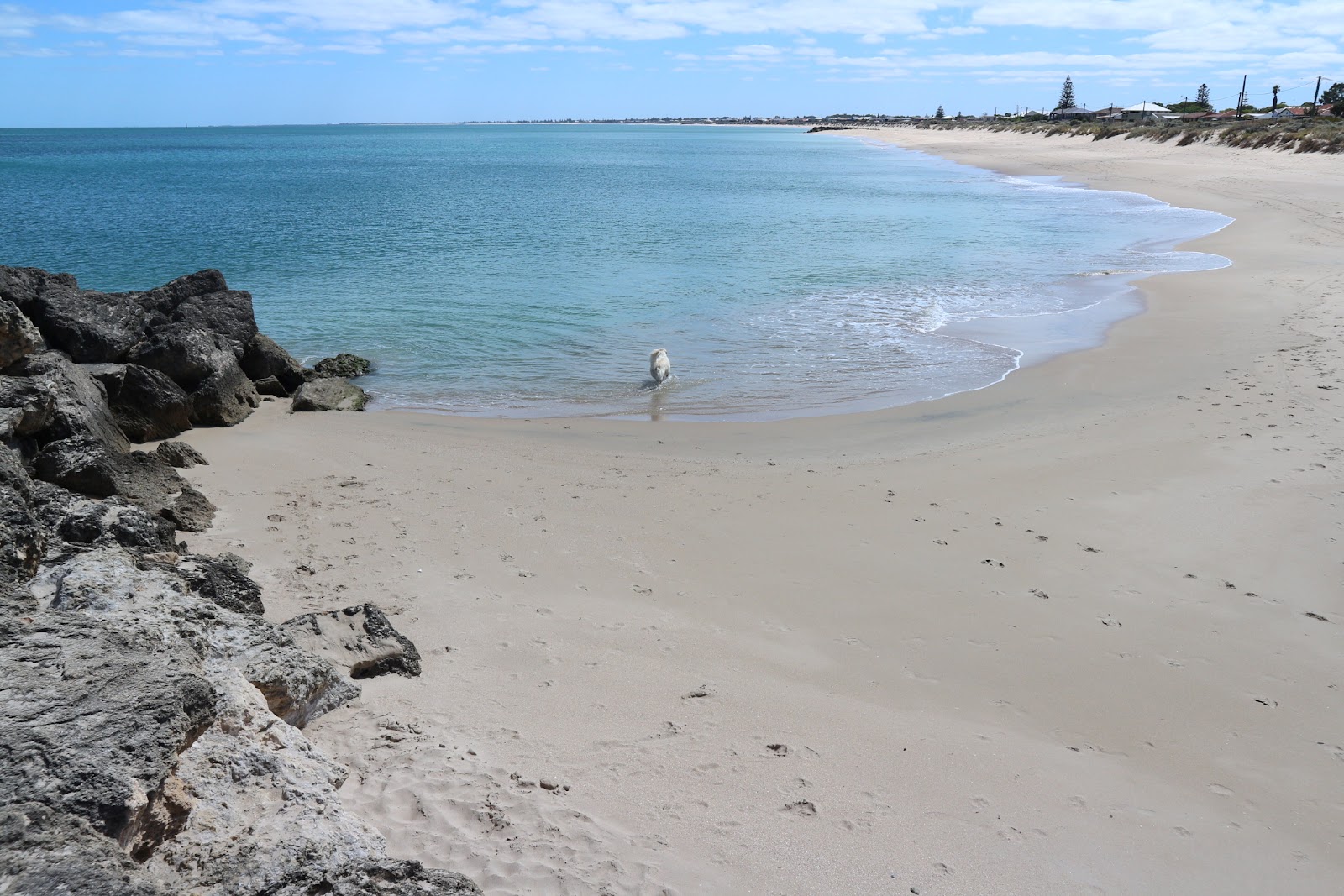 Φωτογραφία του Silver Sands Beach με επίπεδο καθαριότητας πολύ καθαρό
