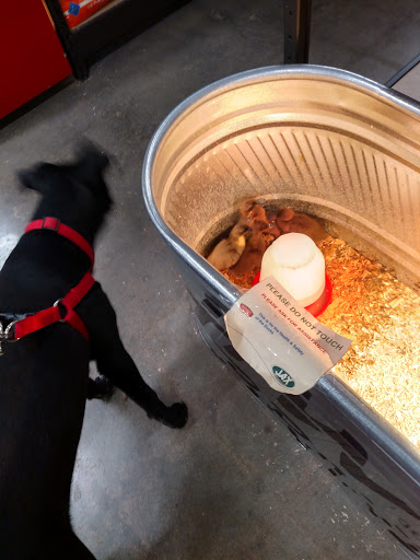 Shopping Mall «Broomfield Plaza», reviews and photos, 5015 W 120th Ave, Broomfield, CO 80020, USA