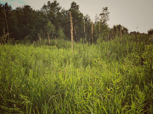 Park «Copley Community Park», reviews and photos, 3232 Copley Rd, Akron, OH 44321, USA