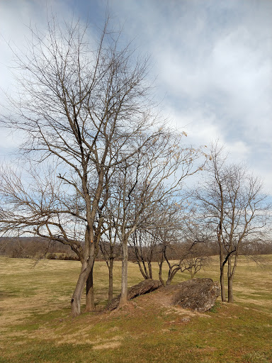 Park «Ida Lee Park Recreation Center», reviews and photos, 60 Ida Lee Dr NW, Leesburg, VA 20176, USA