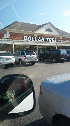 Dollar Store «Dollar Tree», reviews and photos, 1061 S York Rd, Bensenville, IL 60106, USA