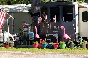 Cajun Campground image