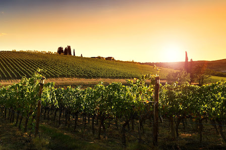VinothekBIO Leipziger Str. 26, 63916 Amorbach, Deutschland