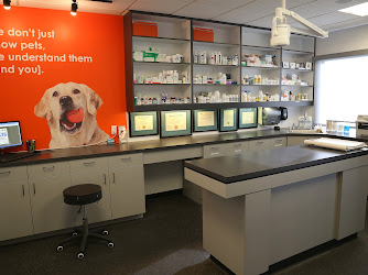 Dr. Boyd's Pet Resort (San Diego), A Thrive Pet Healthcare Partner