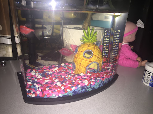 Pet Supply Store «Pet Supplies Plus», reviews and photos, 24-02 Fair Lawn Ave, Fair Lawn, NJ 07410, USA