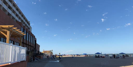 Gift Shop «North Beach Gift Shop», reviews and photos, 2901 Surfside Blvd, Corpus Christi, TX 78402, USA