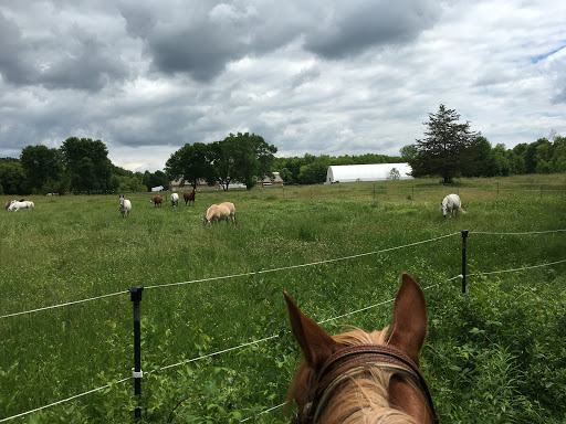 Park «Baker Park Reserve - Near-Wilderness Settlement», reviews and photos, 4001 County Rd 24, Maple Plain, MN 55359, USA