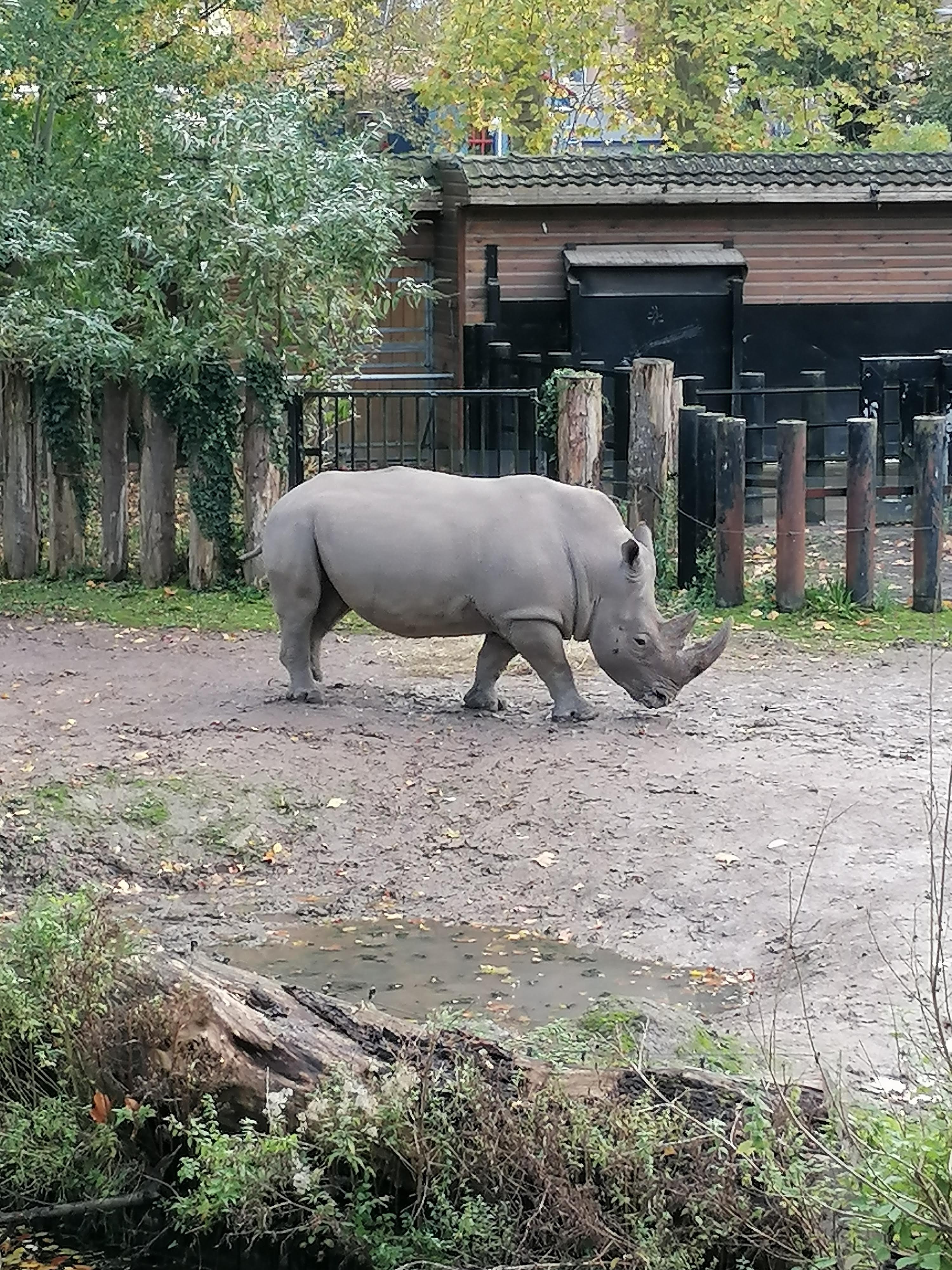 Photo n° 5 de l'avis de Gaele.e fait le 30/10/2023 à 08:36