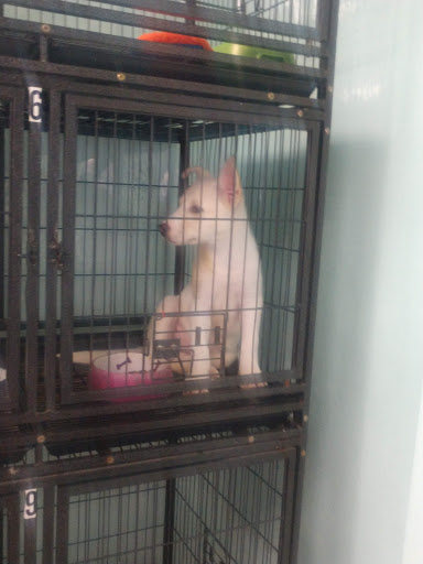 Pet Store «The Pet Stop», reviews and photos, 9128 E Foothill Blvd, Rancho Cucamonga, CA 91730, USA