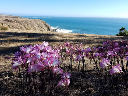 Fortress «Fort Ross», reviews and photos, 19005 Coast Hwy, Jenner, CA 95450, USA