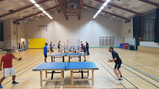 Tennis de table Auzielle