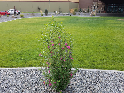 Casino «Yakama Legends Casino Hotel», reviews and photos, 580 Fort Rd, Toppenish, WA 98948, USA