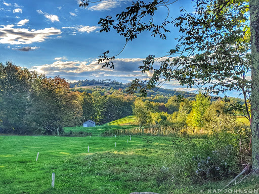 Disc Golf Course «Brewster Ridge Disc Golf Course», reviews and photos, 1239 Edwards Rd, Jeffersonville, VT 05464, USA