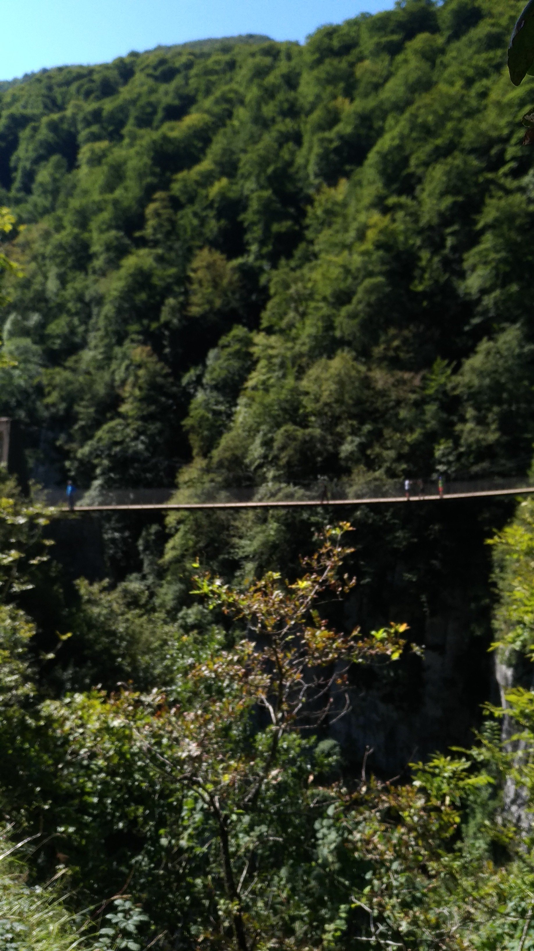 Photo n° 8 de l'avis de Eileen. fait le 05/09/2019 à 15:22